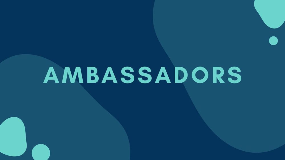 Ambassadors Image